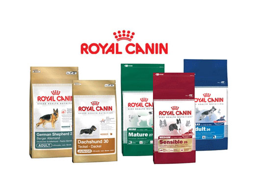 Animali-elikadura marka Royal Canin